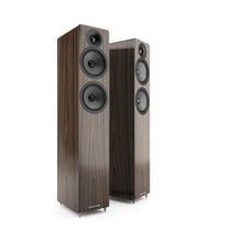 Load image into Gallery viewer, Acoustic Energy AE109² Floorstanding Speakers