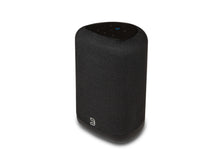 Load image into Gallery viewer, Bluesound Pulse Flex P130 Wireless Speaker (2025 Model)
