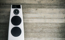 Load image into Gallery viewer, Meridian DSP5200SE Active Loudspeakers