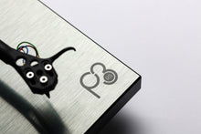 Load image into Gallery viewer, Rega Planar 3 RS