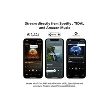 Load image into Gallery viewer, WiiM Mini Music Streamer