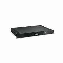 Load image into Gallery viewer, NAIM CI-NAP 101 Mono Power Amplifier