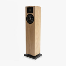 Load image into Gallery viewer, Neat Elite Classic Floorstanding Speakers