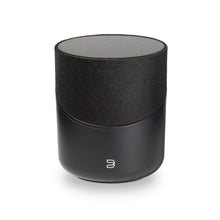 Load image into Gallery viewer, Bluesound Pulse M Wireless Multi-room Speaker
