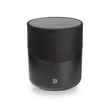 Load image into Gallery viewer, Bluesound Pulse M Wireless Multi-room Speaker