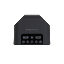 Load image into Gallery viewer, Bluesound Pulse Flex 2i Portable Wireless Multi-Room Music Streaming Speaker