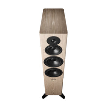 Load image into Gallery viewer, Dynaudio Evoke 50 Floorstanding Speakers
