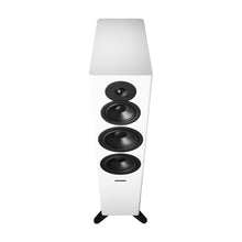 Load image into Gallery viewer, Dynaudio Evoke 50 Floorstanding Speakers