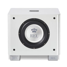 Load image into Gallery viewer, REL T/7x 8" Subwoofer
