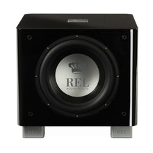 Load image into Gallery viewer, REL T/9x 10" Subwoofer