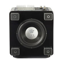 Load image into Gallery viewer, REL T/9x 10" Subwoofer