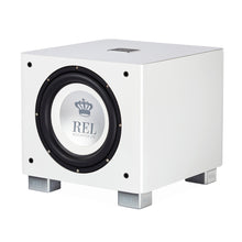 Load image into Gallery viewer, REL T/9x 10" Subwoofer