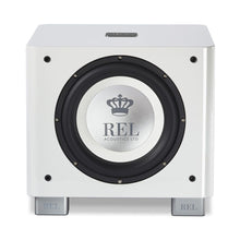 Load image into Gallery viewer, REL T/9x 10" Subwoofer