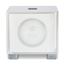 Load image into Gallery viewer, REL T/9x 10" Subwoofer