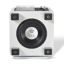 Load image into Gallery viewer, REL T/9x 10" Subwoofer