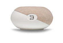 Load image into Gallery viewer, Bluesound Pulse Cinema Mini
