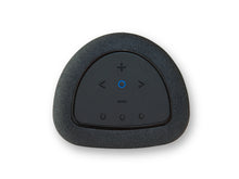 Load image into Gallery viewer, Bluesound Pulse Flex P130 Wireless Speaker (2025 Model)

