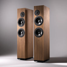 Load image into Gallery viewer, OePhi Acoustics Ascendance 2.5 Floorstanding Loudspeaker - Pair
