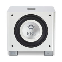 Load image into Gallery viewer, REL T/9x 10&quot; Subwoofer
